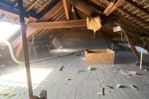 Chantier 2025 à Rennes (35000)